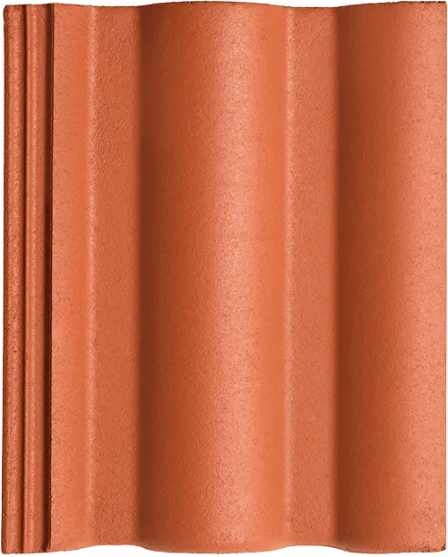 Close-up Romer crvena
